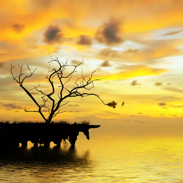 Prachtig landschap — Stockfoto