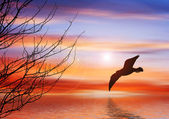 Картина, постер, плакат, фотообои "beautiful sunset landscape", артикул 54939931