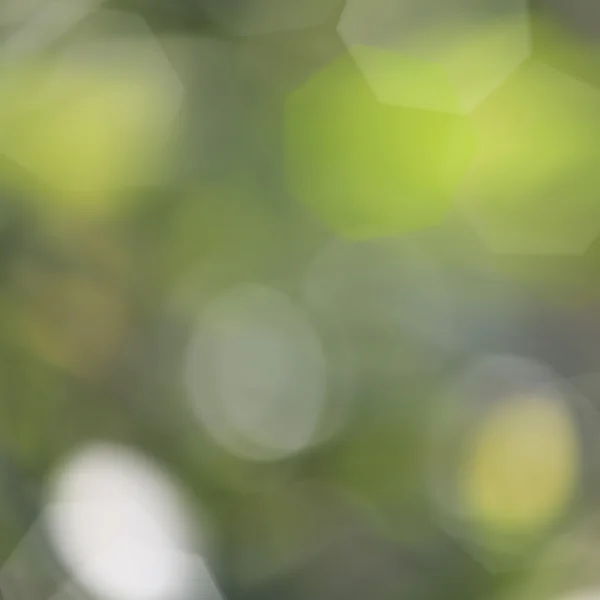 Bokeh background — Stock Photo, Image