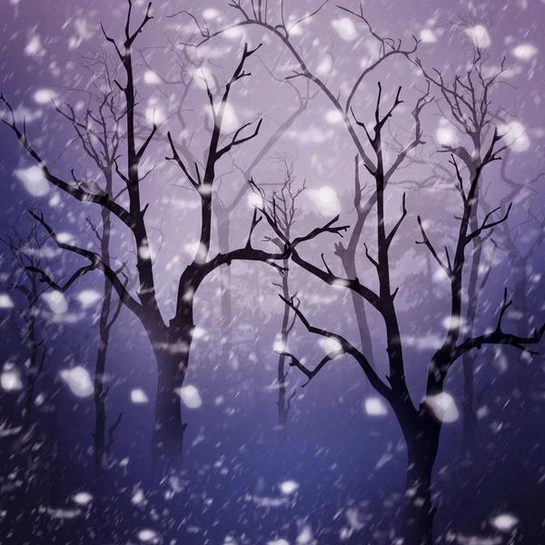 Alberi e neve — Foto Stock