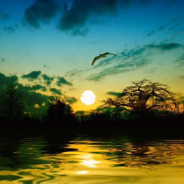 Schöne Landschaft — Stockfoto