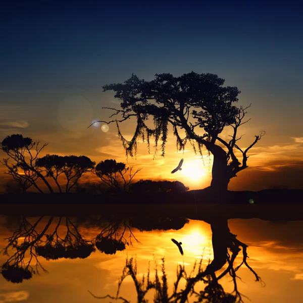 Schöne Landschaft — Stockfoto