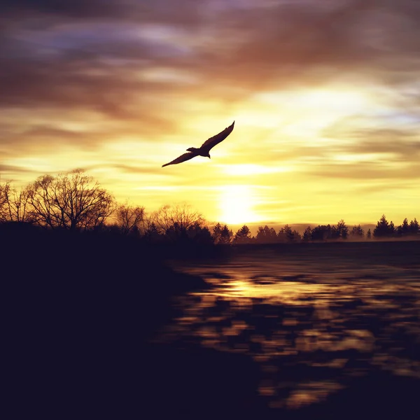 Schöne Landschaft — Stockfoto