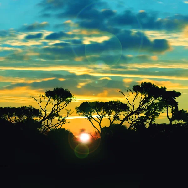 Schöne Landschaft — Stockfoto