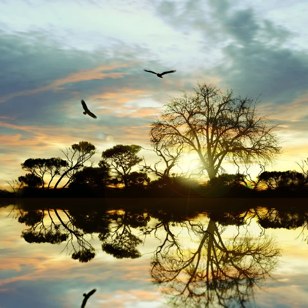 Schöne Landschaft — Stockfoto