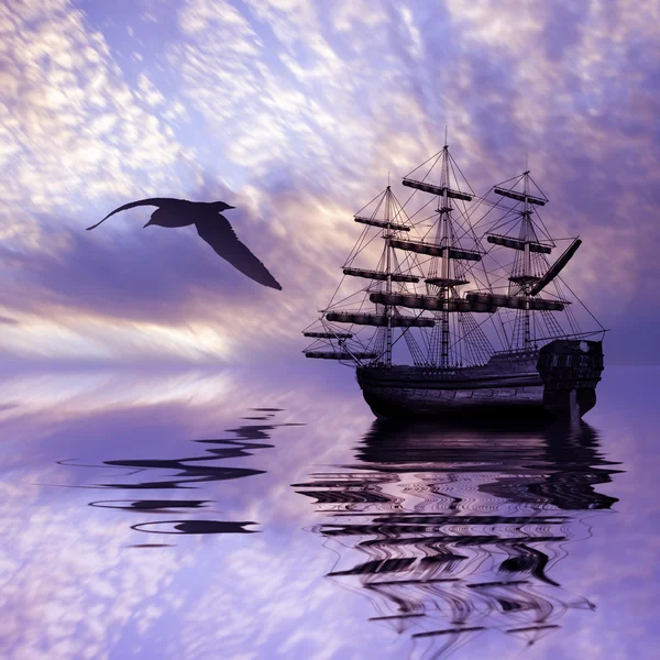 Navio no mar e pássaro — Fotografia de Stock