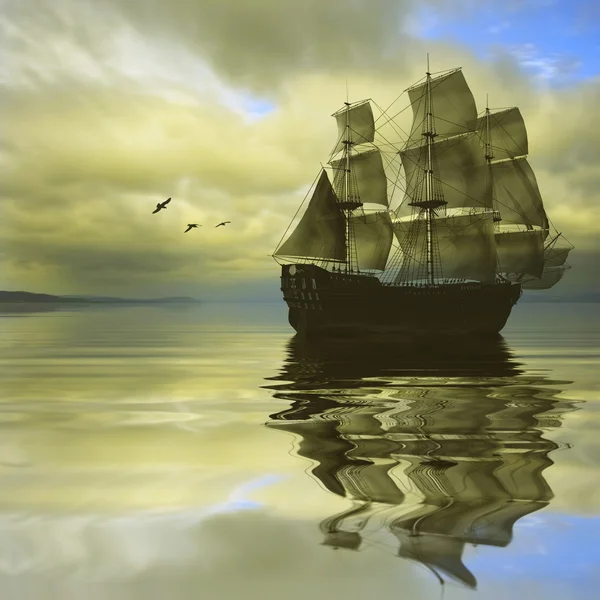 Ship in the sea and birds — Stock Photo, Image