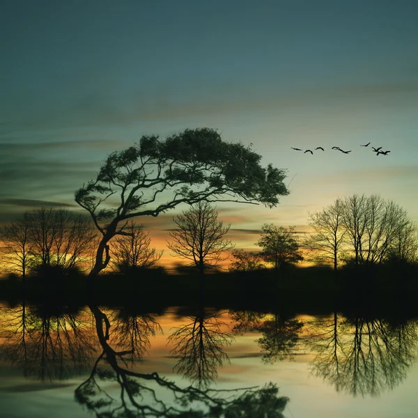 Bellissimo paesaggio — Foto Stock