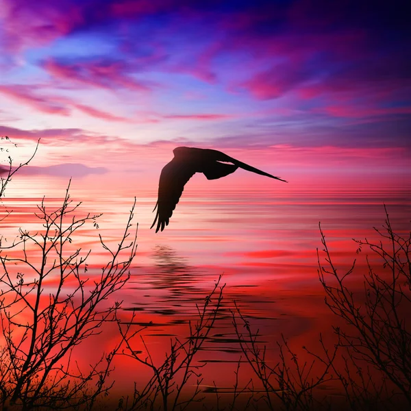 Schöne Landschaft — Stockfoto