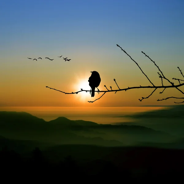 Schöne Landschaft — Stockfoto