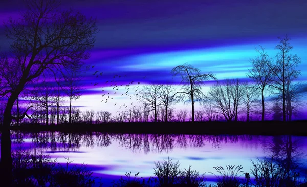 Schöne Landschaft — Stockfoto