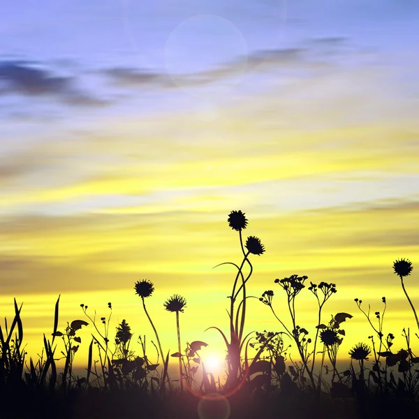 Prachtig landschap — Stockfoto