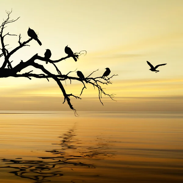 Prachtig landschap — Stockfoto