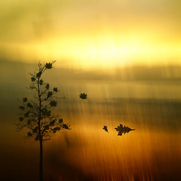 Bellissimo paesaggio — Foto Stock