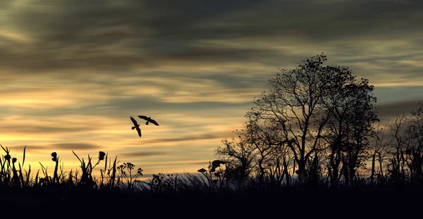 Schöne Landschaft — Stockfoto