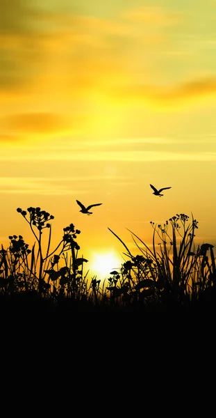 Prachtig landschap — Stockfoto