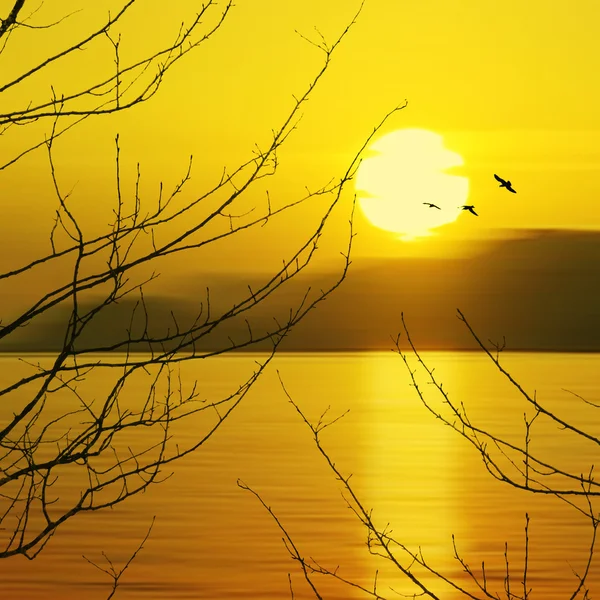 Schöne Landschaft — Stockfoto