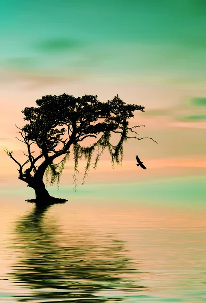 Bellissimo paesaggio — Foto Stock