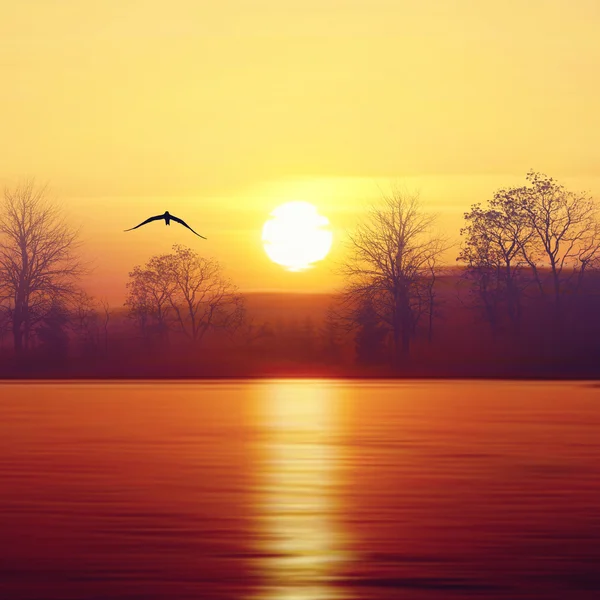 Schöne Landschaft — Stockfoto