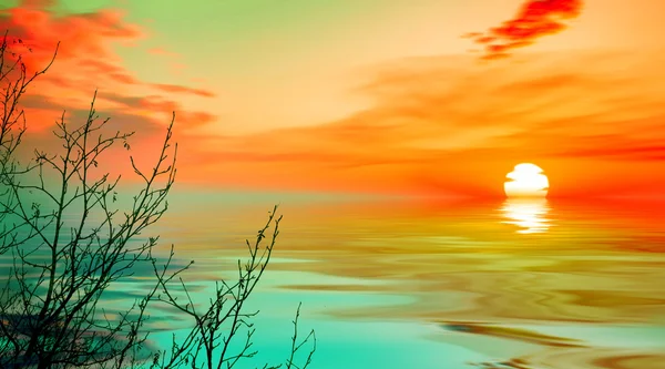 Beautiful landscape