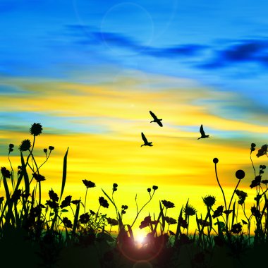 kuşlar güzel manzara