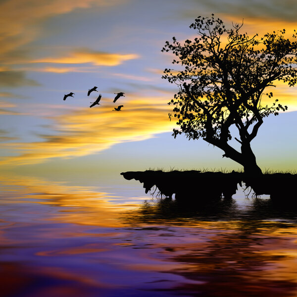 Beautiful landscape with birds