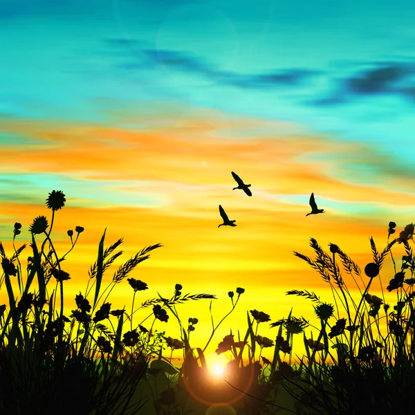 Prachtige landschap met vogels — Stockfoto