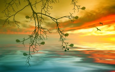 kuşlar güzel manzara