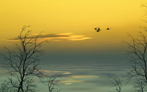 Prachtige landschap met vogels — Stockfoto