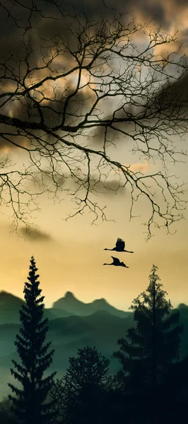 Beautiful landscape with birds — Stock Photo, Image