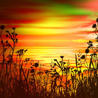 kuşlar güzel manzara