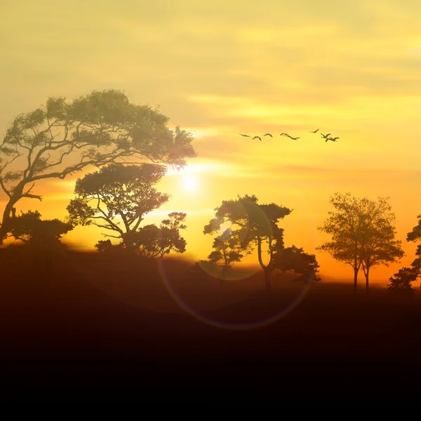 Schöne Landschaft mit Vögeln — Stockfoto