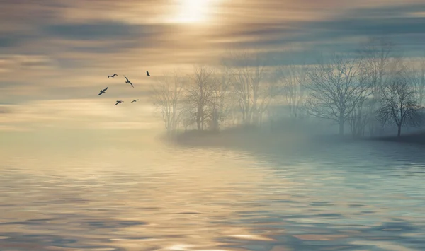 Beau paysage avec des oiseaux — Photo