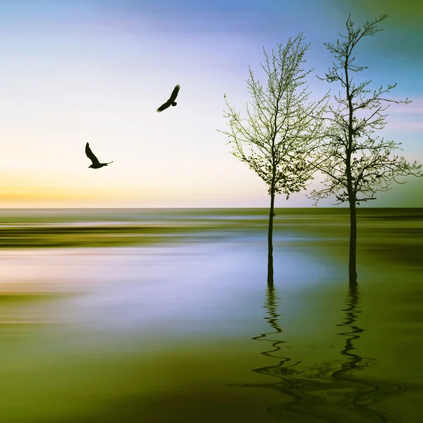 Beautiful landscape with birds — Stock Photo, Image