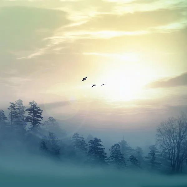Peisaj frumos cu păsări — Fotografie, imagine de stoc