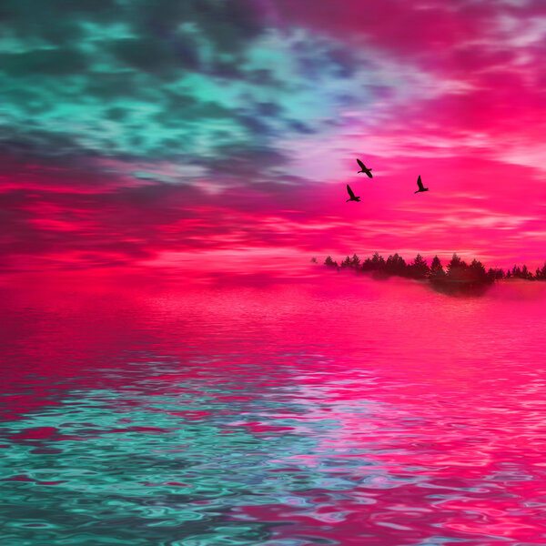 Красивый пейзаж с птицами
