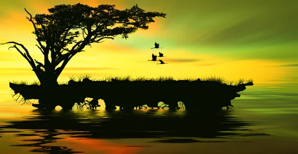 Beautiful landscape with birds — Stock Photo, Image