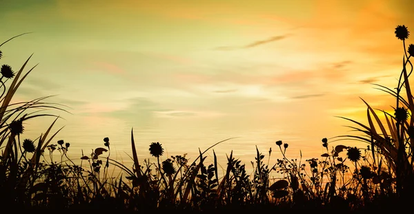 Beautiful landscape with birds — Stock Photo, Image