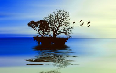 kuşlar güzel manzara