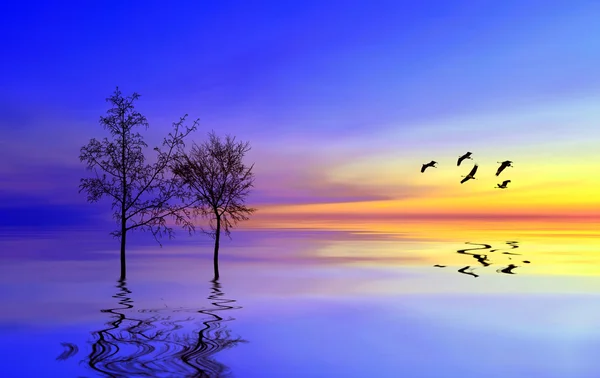 Beautiful landscape with birds — Stock Photo, Image