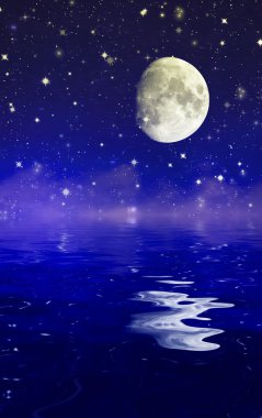 kuşlar güzel manzara