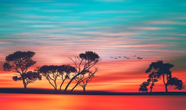 Schöne Landschaft mit Vögeln — Stockfoto
