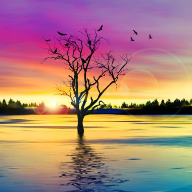 kuşlar güzel manzara