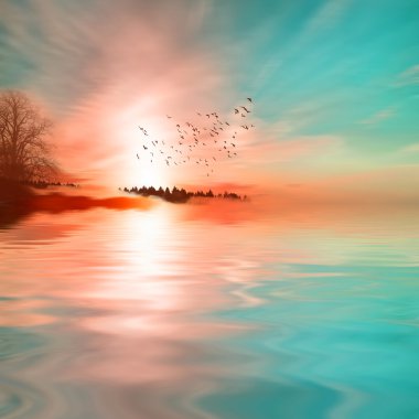 kuşlar güzel manzara