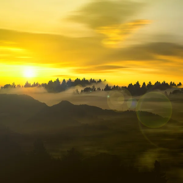 Schöne Landschaft mit Vögeln — Stockfoto