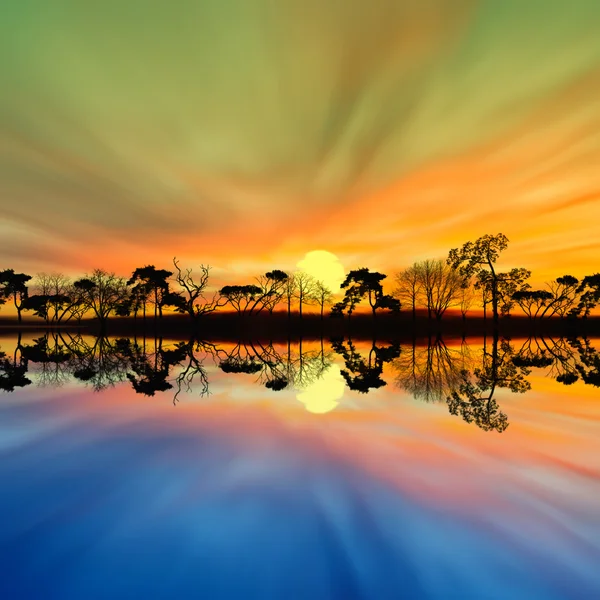 Prachtige landschap met vogels — Stockfoto