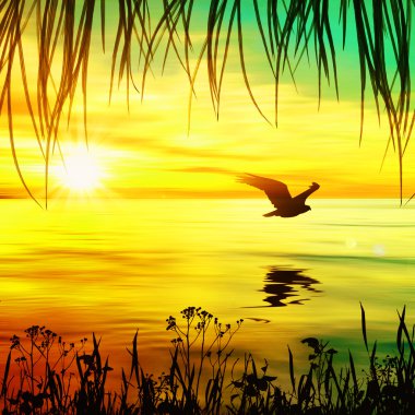 kuşlar güzel manzara