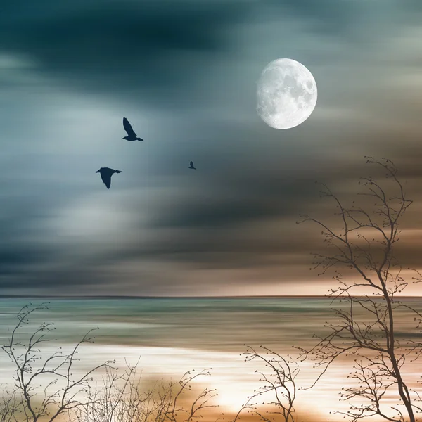 Büyük ay ve kuşlar ile manzara — Stok fotoğraf