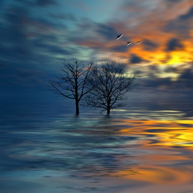 güzel renkli manzara