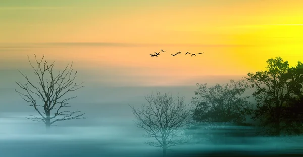 Hermoso paisaje saturado — Foto de Stock